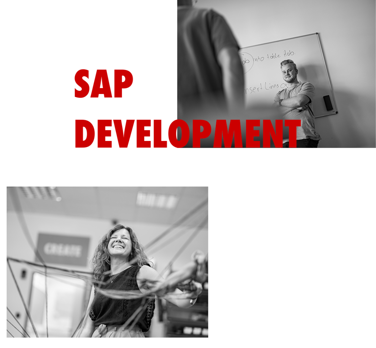 SAP-Development