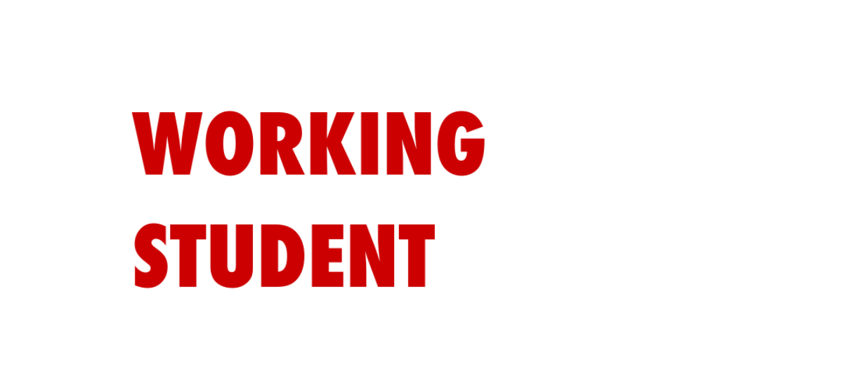 Working student position